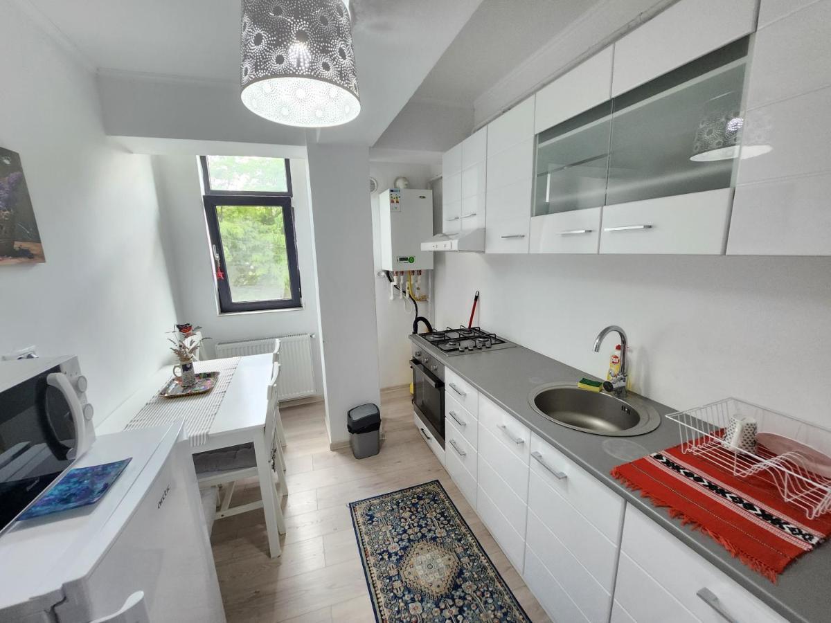 Boutique City Retreats Apartments Iasi Extérieur photo