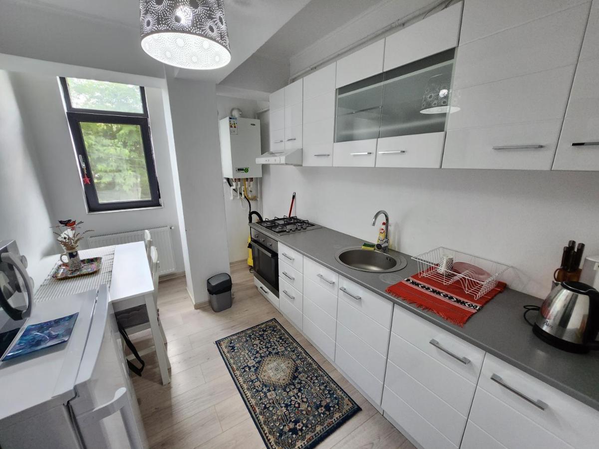 Boutique City Retreats Apartments Iasi Extérieur photo